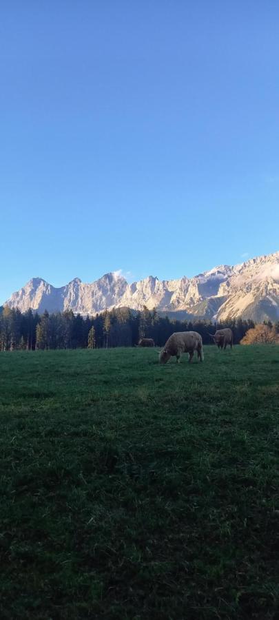 Landhaus-Koenigsberg, Vorberg 360 Ebenguetlweg Ramsau am Dachstein Exteriér fotografie